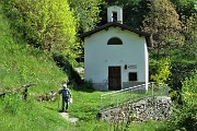 Spettacolo di fiori ai prati della Pigolotta di Valtorta il 9 maggio 2020  - FOTOGALLERY